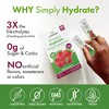Swanson Simply Hydrate Electrolyte Mix - Sugar-Free - 30 Packets | Advanced Electrolyte Blend | Convenient On-the-Go Solution - 3 of 4