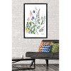 Trends International Botanical Collection - Wild Flowers Framed Wall Poster Prints - 2 of 4
