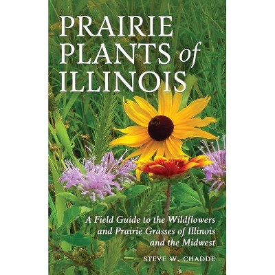 Prairie Plants of Illinois - by  Steve W Chadde (Paperback)