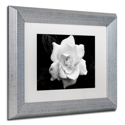 Trademark Fine Art -Kurt Shaffer 'Gardenia in Black and White' Matted Framed Art