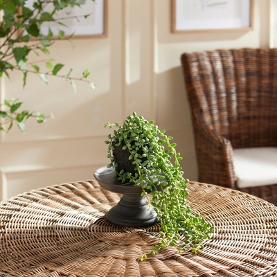 Green Plastic String of Pearls Succulent Topiary