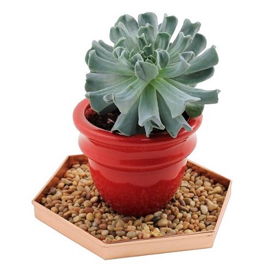 Hexagonal Copper-Plated Stainless Steel Decorative Trays, Set of 3