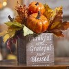 Evergreen Pumpkin and Berry Artifical with Sentiments Table Decor - 2 of 3