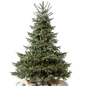 Balsam Hill 6.5' Clear LED European Fir Tree - 1 of 4