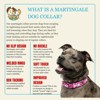 Country Brook Petz HossFit Jr Wide Martingale Dog Collar - Geek Chic Collection - 3 of 4