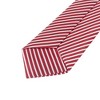 INSPIRE CHIC Pre-tied Elastic Neck Ties - 4 of 4