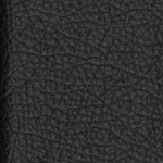 california golden bears