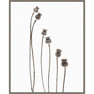 23" x 28" Last Years Flowering Poppies by Lotte Gronkjar: Monochrome Art Print - Amanti Art - 1 of 4