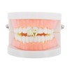Unique Bargains Hip Hop Fashionable Fake Grills 1 Pc - 2 of 4