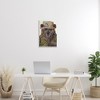 Stupell Industries Fisherman Outfit Brown Grizzly Bear Fishing Pole Wall Plaque Art - 2 of 4