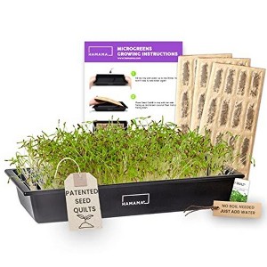 Hamama Home Microgreens Growing Kit - Cilantro Sprouts Growing Kit, Sprouting Kit - Grow Your Own Micro Greens Indoor - 1 of 4