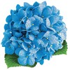 Madd Capp: I Am Hydrangea - 350 Piece Puzzle - Floral Shaped Jigsaw, 22 x 22 - 2 of 4