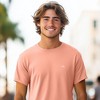 Dalix Mens Lil Rainbow Lightweight Jersey Tee - 3 of 4