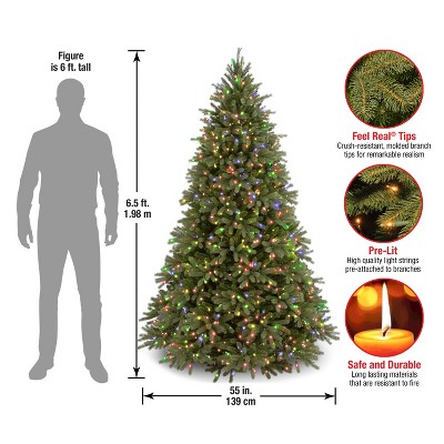 6.5' Green Prelit Jersey Fraser Fir Christmas Tree with Multicolor Lights