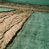 American Excelsior AEC-SEGRN8 Curlex I Single Layer Biodegradable Landscaping Erosion Control Blanket, 8 Feet x 112.5 Feet Roll - 4 of 4