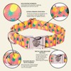 Country Brook Petz Premium Dog Collar - Tasty Collection - 3 of 4
