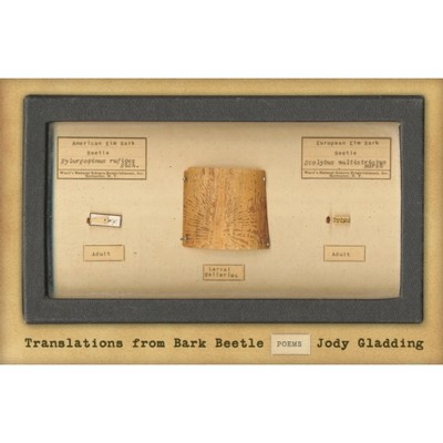Translations from Bark Beetle - by  Jody Gladding (Paperback)