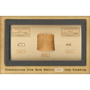Translations from Bark Beetle - by  Jody Gladding (Paperback) - 1 of 1