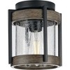 Progress Lighting, Whitmire, 1-Light Outdoor Ceiling Mount, Matte Black, Clear Seeded Glass - 3 of 4