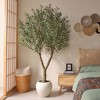 Dr.Planzen 7ft Artificial Olive Tree in White Planter - Faux Olive Tree for Indoor/Outdoor D¨¦cor, Fake Plant with Realistic Green Branches - 3 of 4