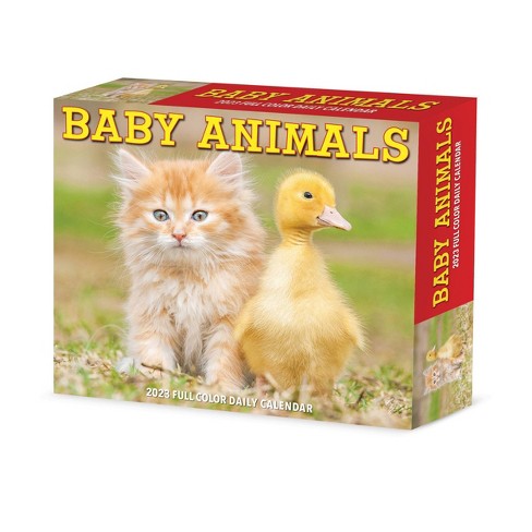 willow-creek-press-2023-desktop-box-calendar-baby-animals-target