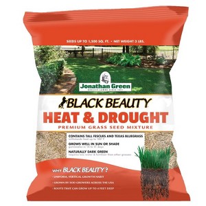 Jonathan Green Black Beauty Heat & Drought Mixed Sun or Shade Grass Seed 3 lb - 1 of 1