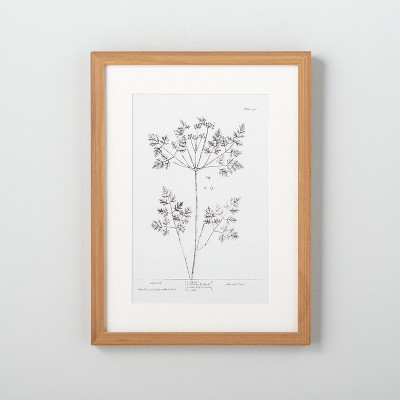 12" x 16" Floral Chervil Wall Art - Hearth & Hand™ with Magnolia
