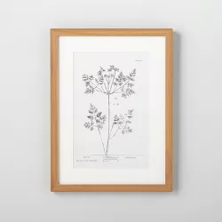 12" x 16" Floral Chervil Wall Art - Hearth & Hand™ with Magnolia
