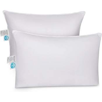 East Coast Bedding Cozy Dream Firm Goose Down Feather Pillow, Set of 2