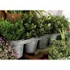 23" Wide Farmhouse 5-Pail Iron Novelty Planter Gray - Olivia & May: Hammered Finish, Indoor Centerpiece - 2 of 2
