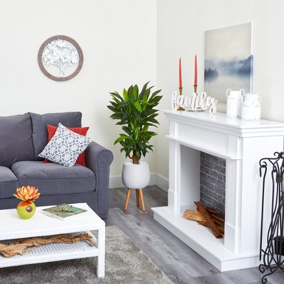 46" Green Corn Stalk Dracaena Artificial Plant in White Planter with Wooden Stand