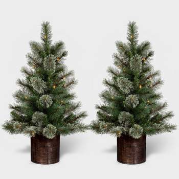 2pc 3' Pre-Lit Virginia Pine Potted Mini Artificial Christmas Tree Clear Lights - Wondershop™