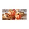 tagltd Oversized Rustic Pumpkin Salt & Pepper Set of 2 - 3 of 3