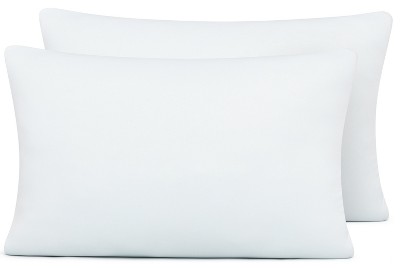 Wuuyuef 12 x 20 Pillow Insert Set of 2 Indoor Throw Pillow Insert,  Rectangle Decorative Pillows Inserts, Throw Pillows for Couch,Throw Pillows  for