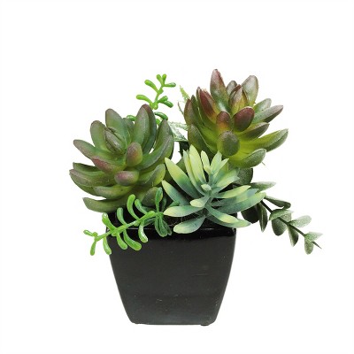 Northlight 8" Black and Green Potted Mixed Succulent Artificial Plant Arrangement