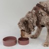 Dexypaws: Ceramic Dog Bowl: Blush Pink, 50oz, Pet Feeding Dish - 3 of 4