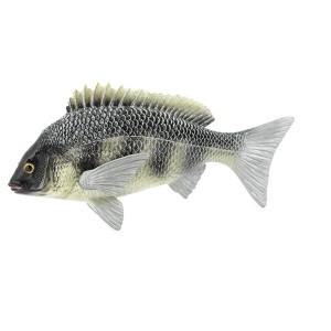 Collectible Wildlife Gifts | Fish, Tilapia, Nile Perch, Museum Quality, Hand Painted, Rubber Fish, Realistic Toy Model, Gift,  7"   CH311 BB130 - 1 of 4