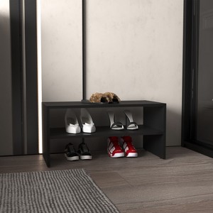 Vynxaria Shoe Rack 13.7" H, with 2 Shelves, Black - 1 of 4