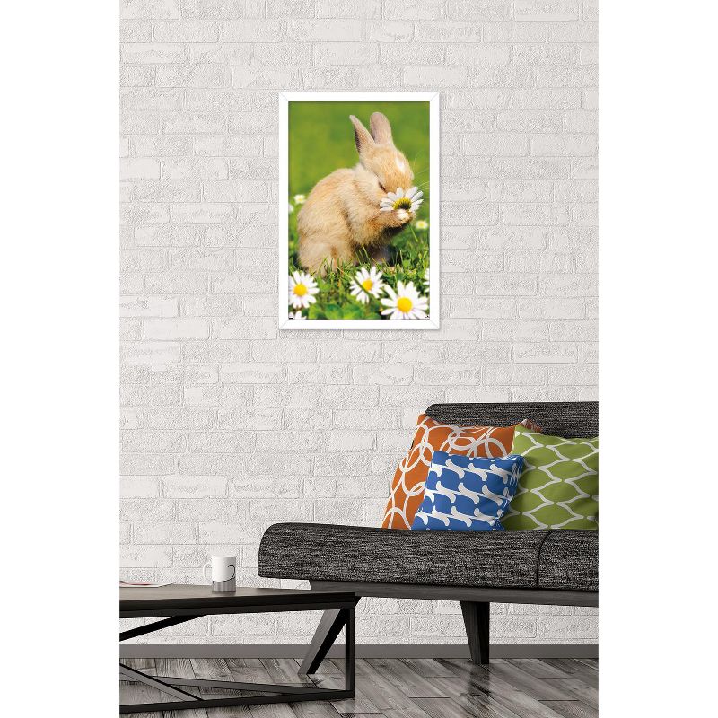 Trends International Avanti - Bunny Smelling Flower Framed Wall Poster Prints, 2 of 7