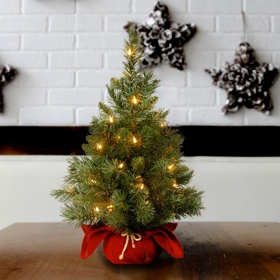24" Green Fir Tabletop Christmas Tree with Warm White LED Lights