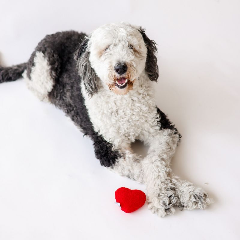 Plush Red Heart Valentine's Day Dog Toy, 4 of 10