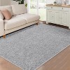 Modern Solid Textured Area Rug Machine Washable Stain Resistant Non-Slip Floor Cover Carpet - 2 of 4