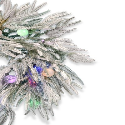 24-Inch Frosted Artificial Christmas Wreath with LED Lights