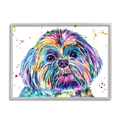 Stupell Industries Bold Rainbow Shih Tzu Dog Portrait Framed Giclee Art