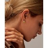 Molenia 14K Gold Plated Seashell Earrings 925 Sterling Silver Shell Stud Earrings Beach Jewelry Ocean Summer Vacation Small Gifts for Women Her Girls - 2 of 4