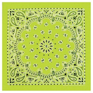 Top Performance Paisley Bandana Lt Green - 1 of 1