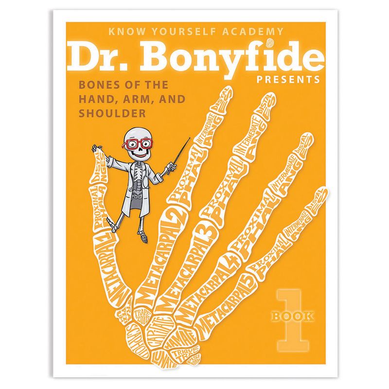 Know Yourself 4 Book Set: Dr. Bonyfide Presents 206 Bones of the Human Body, 3 of 7