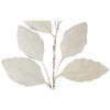 Magnolia Leaf Holiday Spray – 31.5" Tall Champagne Decorative Stem, Set of 12 by Melrose - 2 of 2