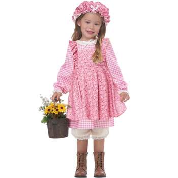California Costumes Little Prairie Girl Toddler Costume (Pink)