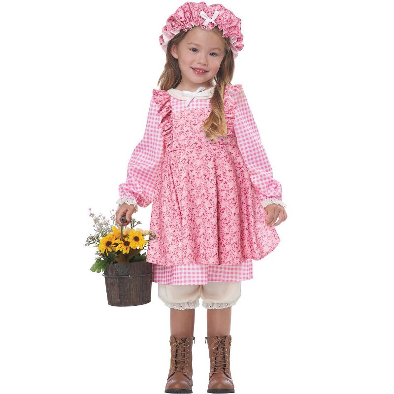 California Costumes Little Prairie Girl Toddler Costume (Pink), 1 of 2